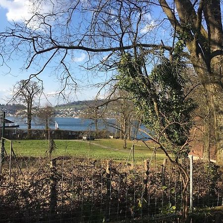 Studio Am Vierwaldstaettersee Horw Buitenkant foto