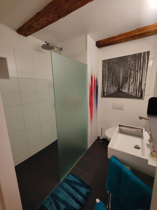 Studio Am Vierwaldstaettersee Horw Buitenkant foto
