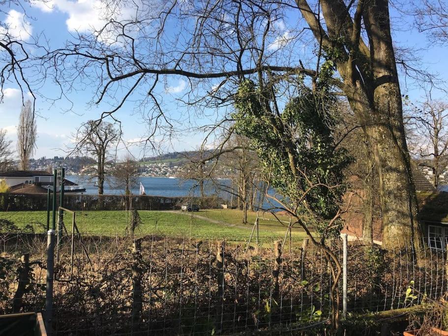 Studio Am Vierwaldstaettersee Horw Buitenkant foto