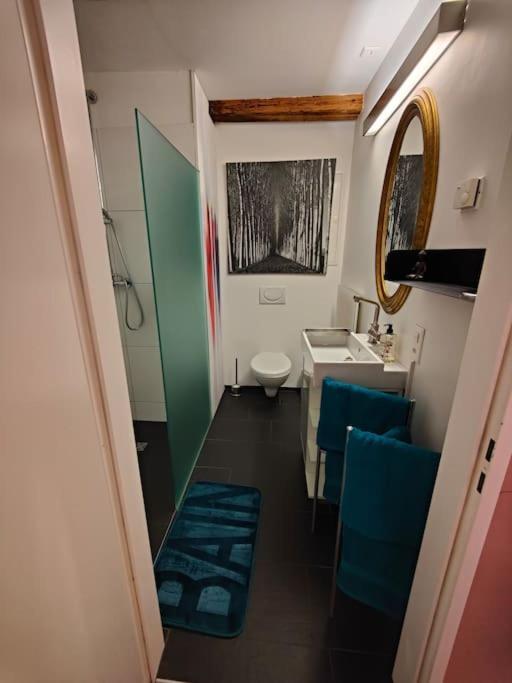 Studio Am Vierwaldstaettersee Horw Buitenkant foto